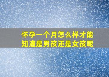 怀孕一个月怎么样才能知道是男孩还是女孩呢