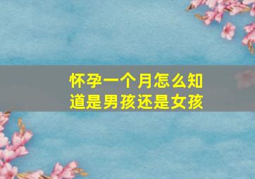 怀孕一个月怎么知道是男孩还是女孩