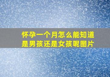 怀孕一个月怎么能知道是男孩还是女孩呢图片