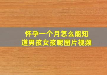 怀孕一个月怎么能知道男孩女孩呢图片视频