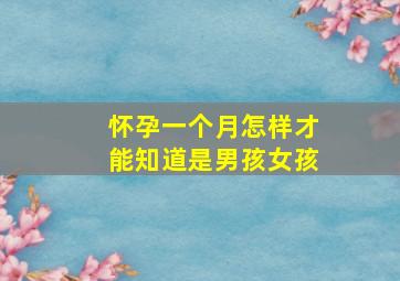 怀孕一个月怎样才能知道是男孩女孩