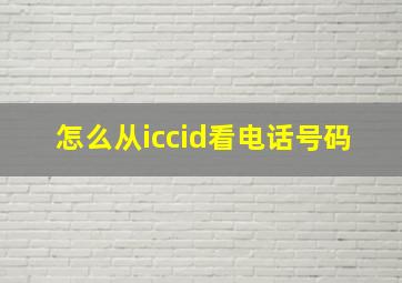 怎么从iccid看电话号码