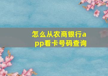 怎么从农商银行app看卡号码查询