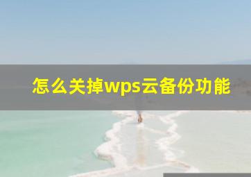 怎么关掉wps云备份功能