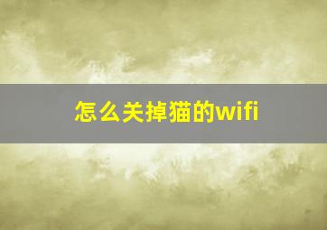 怎么关掉猫的wifi