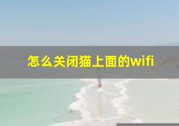 怎么关闭猫上面的wifi