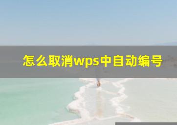 怎么取消wps中自动编号