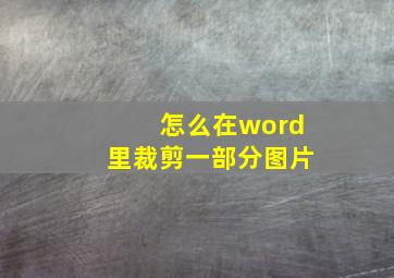 怎么在word里裁剪一部分图片