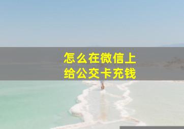 怎么在微信上给公交卡充钱