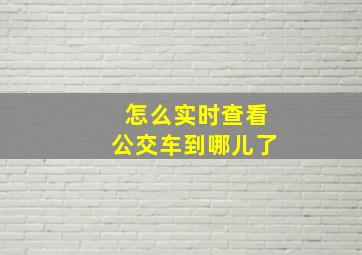 怎么实时查看公交车到哪儿了