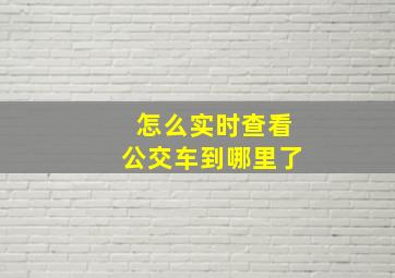 怎么实时查看公交车到哪里了