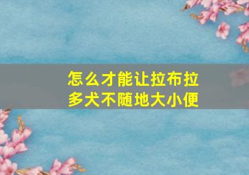 怎么才能让拉布拉多犬不随地大小便