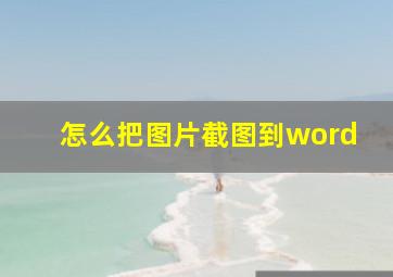 怎么把图片截图到word