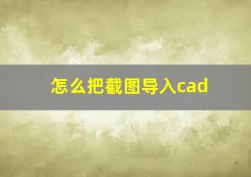 怎么把截图导入cad