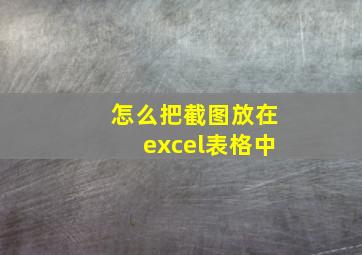 怎么把截图放在excel表格中