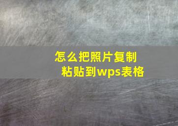 怎么把照片复制粘贴到wps表格