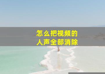 怎么把视频的人声全部消除