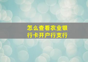 怎么查看农业银行卡开户行支行