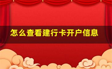 怎么查看建行卡开户信息