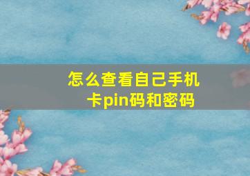 怎么查看自己手机卡pin码和密码