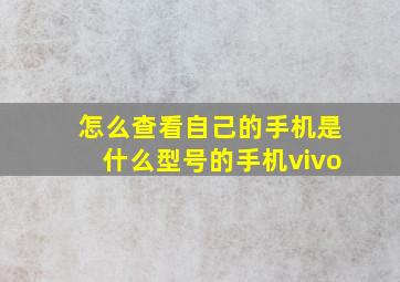 怎么查看自己的手机是什么型号的手机vivo