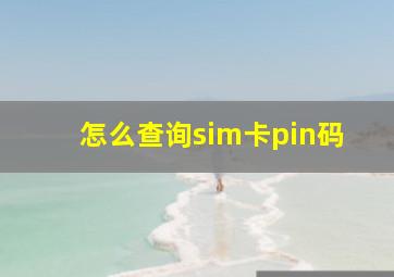 怎么查询sim卡pin码