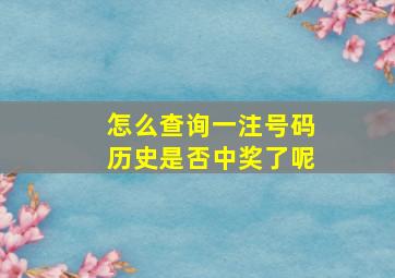 怎么查询一注号码历史是否中奖了呢