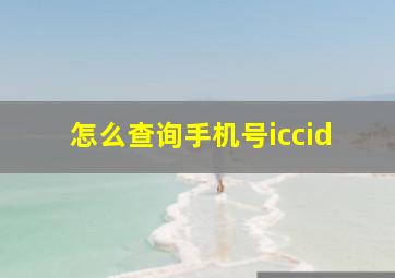 怎么查询手机号iccid