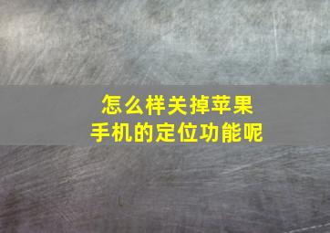 怎么样关掉苹果手机的定位功能呢