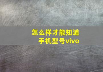 怎么样才能知道手机型号vivo