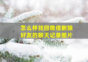 怎么样找回微信删除好友的聊天记录图片