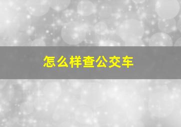 怎么样查公交车