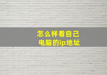 怎么样看自己电脑的ip地址