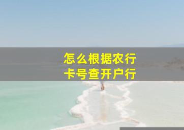 怎么根据农行卡号查开户行