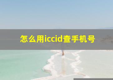 怎么用iccid查手机号