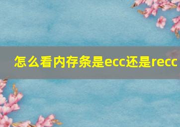 怎么看内存条是ecc还是recc