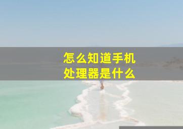 怎么知道手机处理器是什么