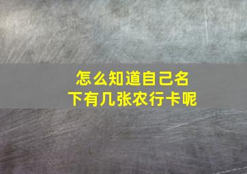 怎么知道自己名下有几张农行卡呢