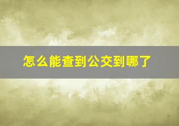 怎么能查到公交到哪了