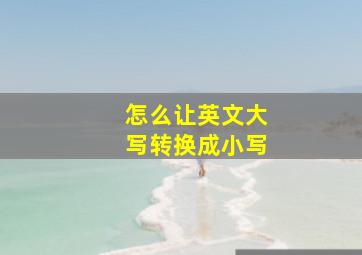 怎么让英文大写转换成小写