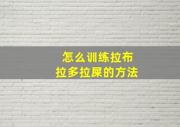 怎么训练拉布拉多拉屎的方法