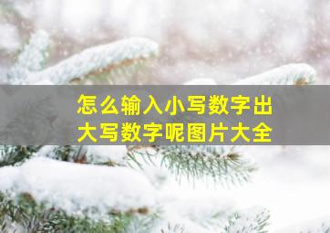 怎么输入小写数字出大写数字呢图片大全