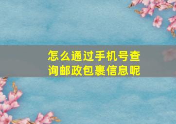 怎么通过手机号查询邮政包裹信息呢