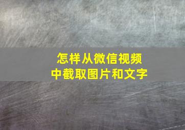 怎样从微信视频中截取图片和文字