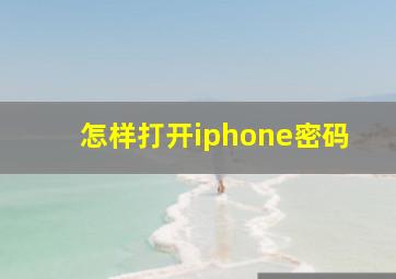 怎样打开iphone密码