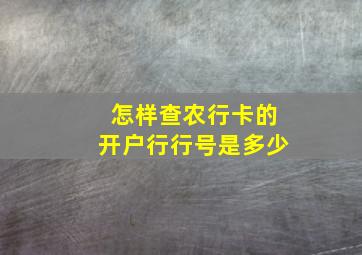 怎样查农行卡的开户行行号是多少