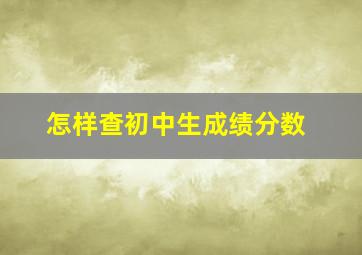 怎样查初中生成绩分数