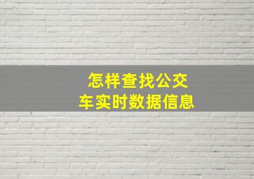 怎样查找公交车实时数据信息