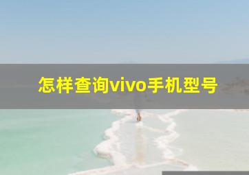 怎样查询vivo手机型号