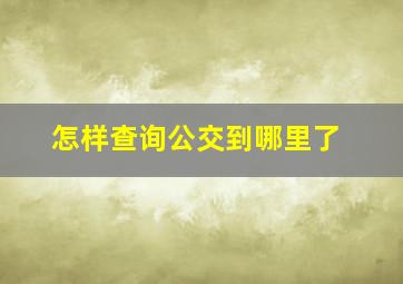 怎样查询公交到哪里了